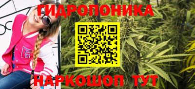 гидра Партизанск