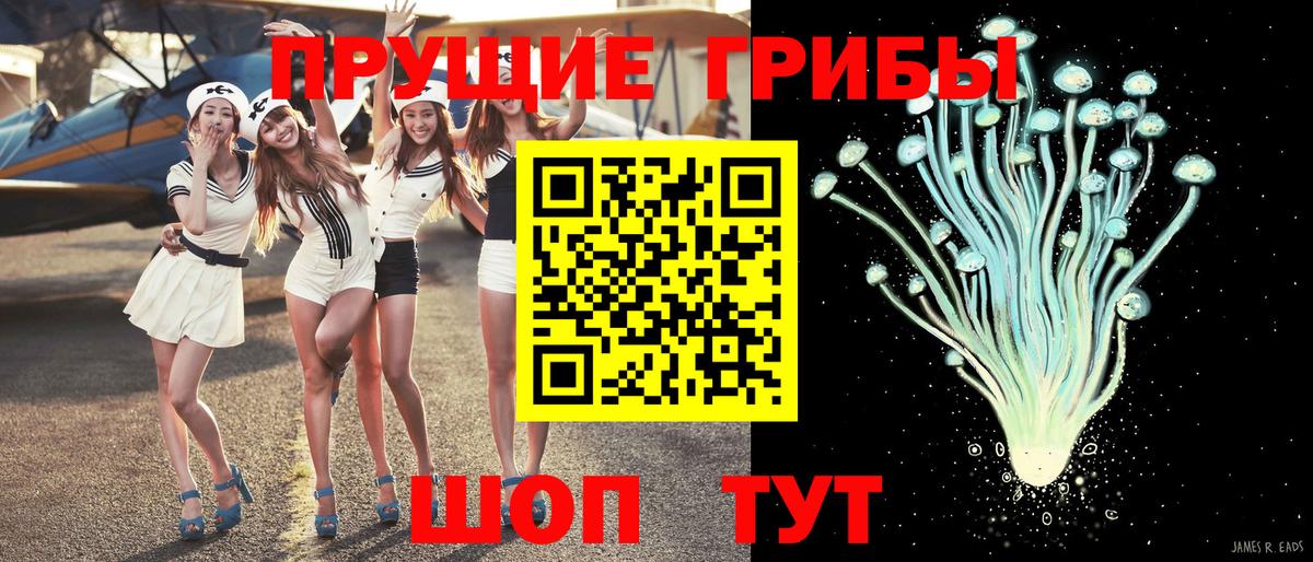 Усть-Илимск  Псилоцибиновые грибы Cubensis  купить   Вход с VPN 