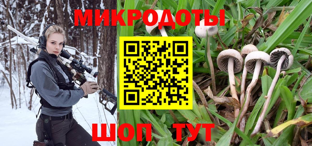 Галлюциногенные грибы MAGIC MUSHROOMS Усть-Илимск